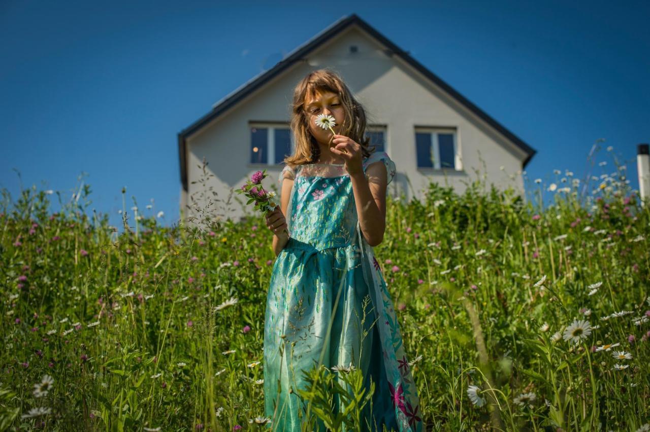 Vila Vernig Bled Zewnętrze zdjęcie